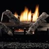 White Mountain Whiskey River VENT FREE 24" GAS LOG SET Fireplaces