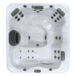 Bullfrog Spas Spas And Hot Tubs X Series Spa - Model X6L