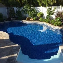 Radiant INGROUND FREE FORM POOL Inground Pools