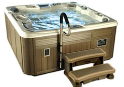 Leisure Concepts Spa/Hot Tub Supplies Spa Safety Rail - Black